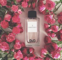 D&G L' IMPERATRICE parfyum rasmi