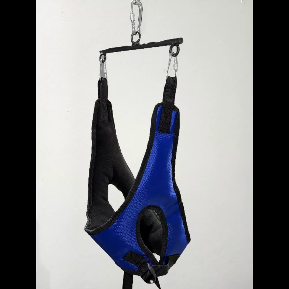 'Glisson Ilgagi Moslama' rasmi