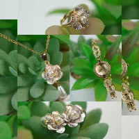 Gul to'plam 5 - Ayol nafosatining timsoli rasmi