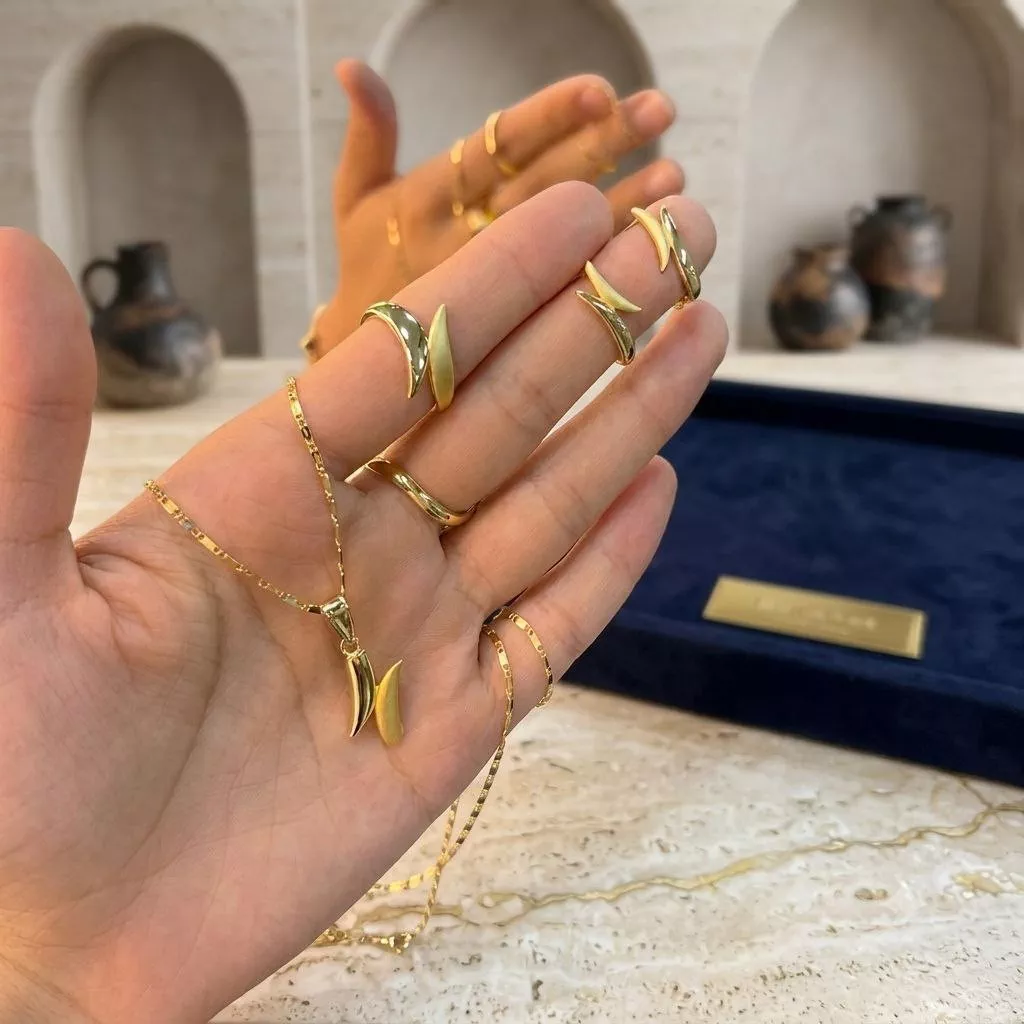 '✨ Ikki Rangli Premium Taqinchoqlar To‘plami ✨' rasmi
