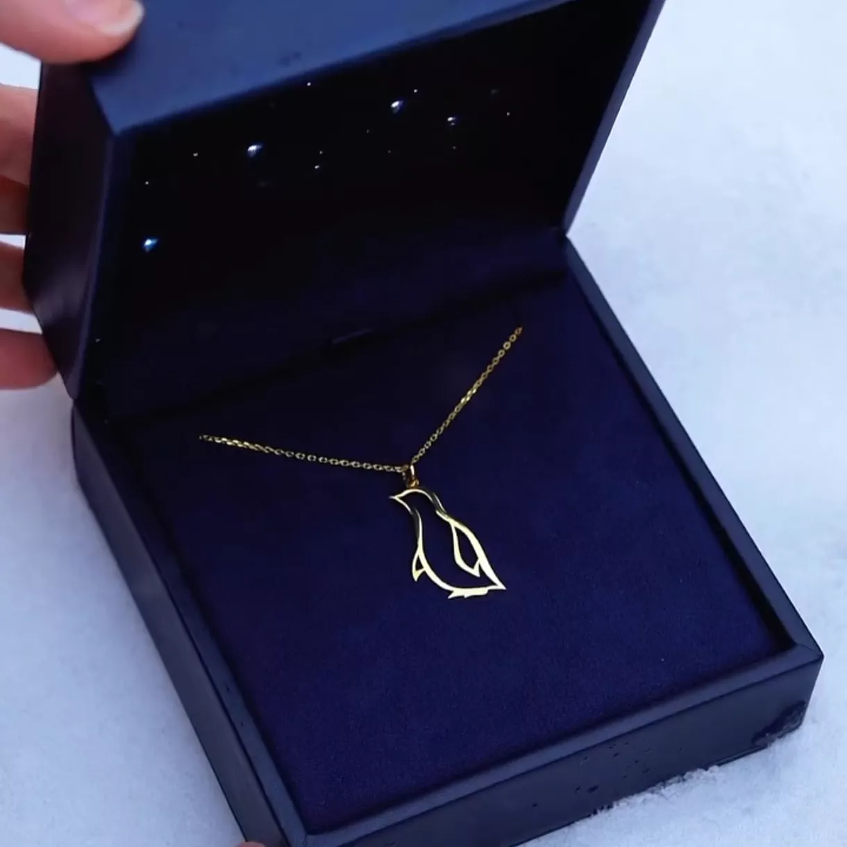 'Nafis va zamonaviy taqinchoq' rasmi